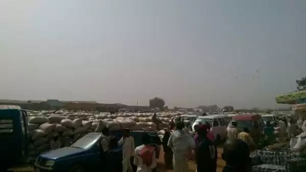 Photos From Giwa Farmers Market In Kaduna Prove Nigeria Is blessed In Agric